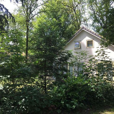 Beautiful House In The Forest Oudemirdum Exterior foto